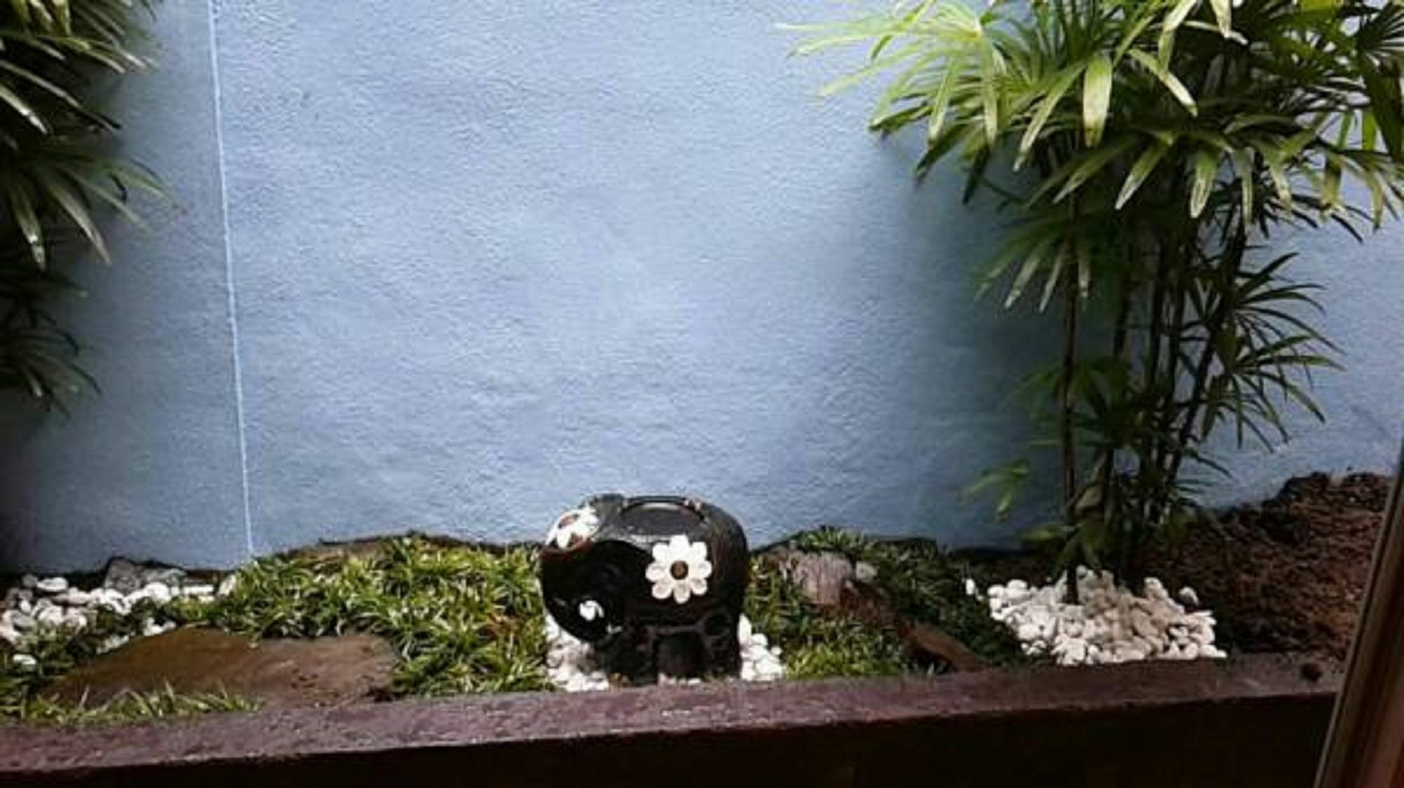 Azzurro Elefante Villa Kyoto Exterior photo